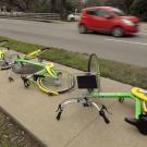 lime bikes on the ground